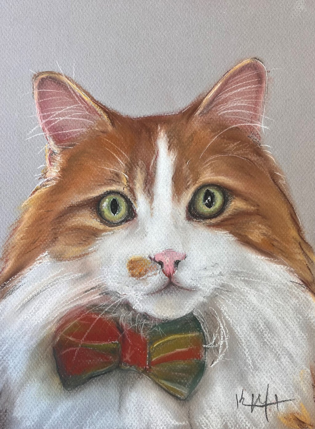 Drawing of an orange and white cat wearing a bow tie
