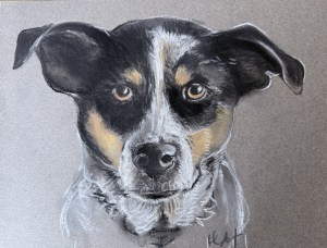 drawing of a small dog